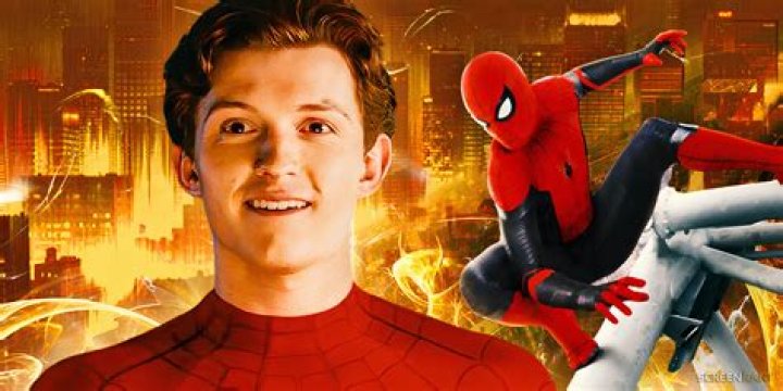 Spider-Man Peter Parker Luke Cage Punisher Frank Castle Marvel Civil War