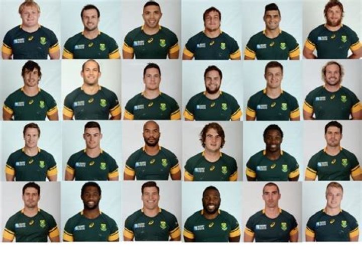 springbok players