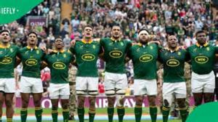 Springboks' fans partying after the Springboks RWC 2023 win Springboks' fans partying after the Springboks RWC 2023 win