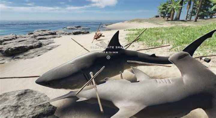 Stranded Deep Great White