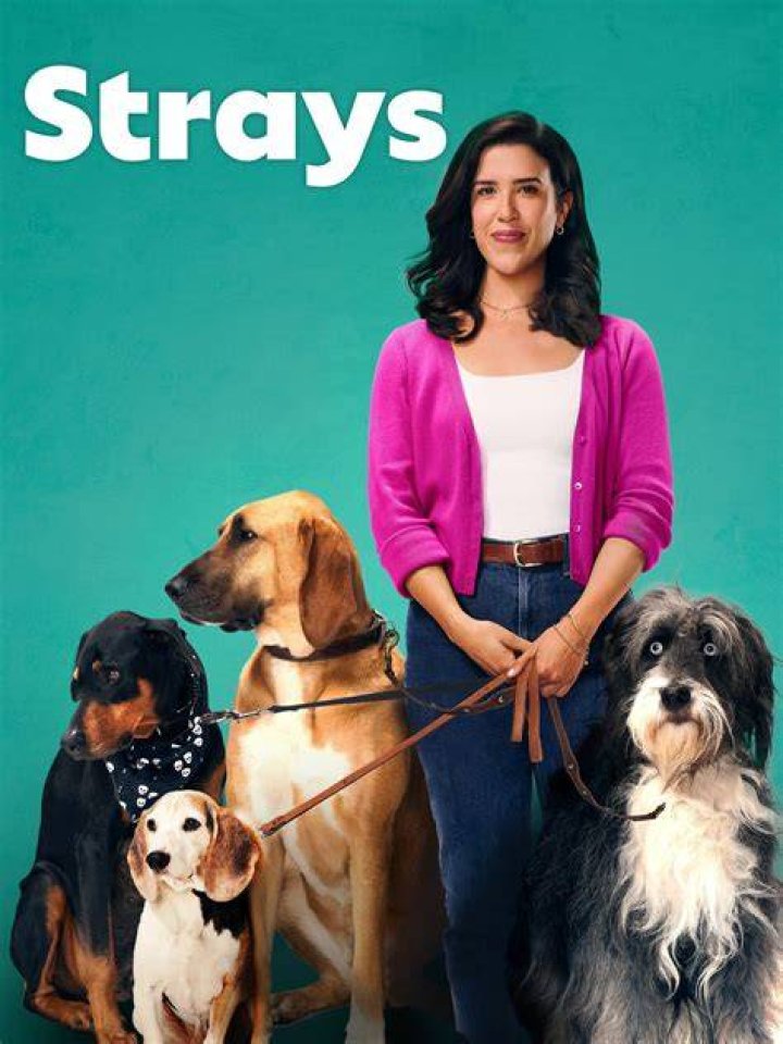 Strays: Kim's Convenience Spinoff Updates: Release Date, Story, Cast