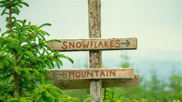Sunny Malik Discusses His Time On Snowflake Mountain