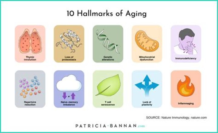 The 10 Hallmarks Of Aging With Young Forever Author Dr. Mark Hyman