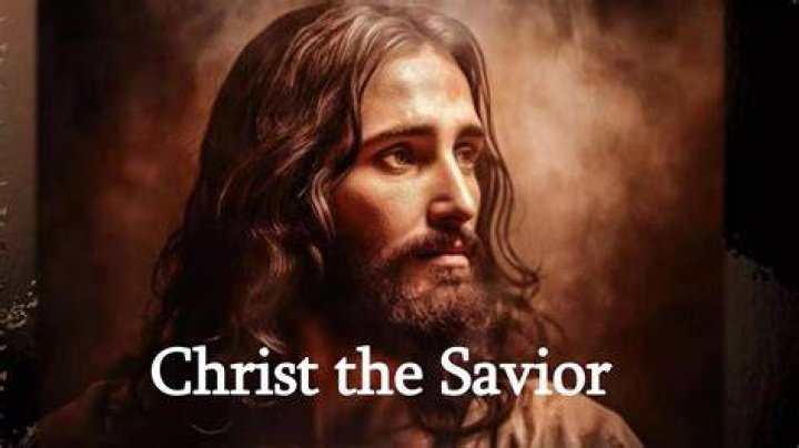 The Savior's Series