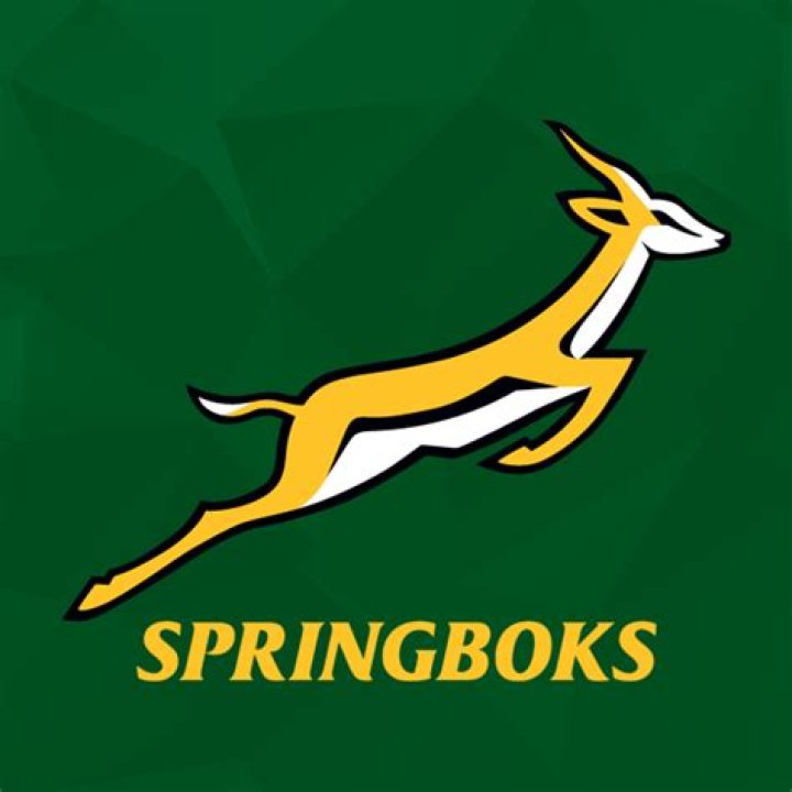 the springbok