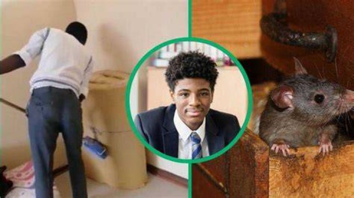 TikTok video of matriculant's dress for formal school dance