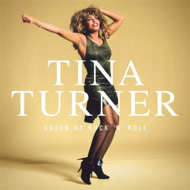 Tina Turner's Kids Meet Her 4 Children Including Late Son Craig