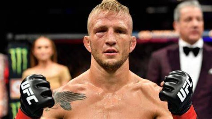 TJ Dillashaw net worth