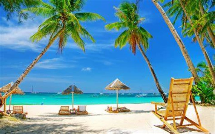 Tropical paradise