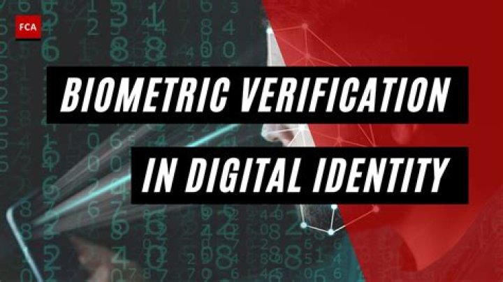 Understanding Toji PFP: The Rising Trend In Digital Identity
