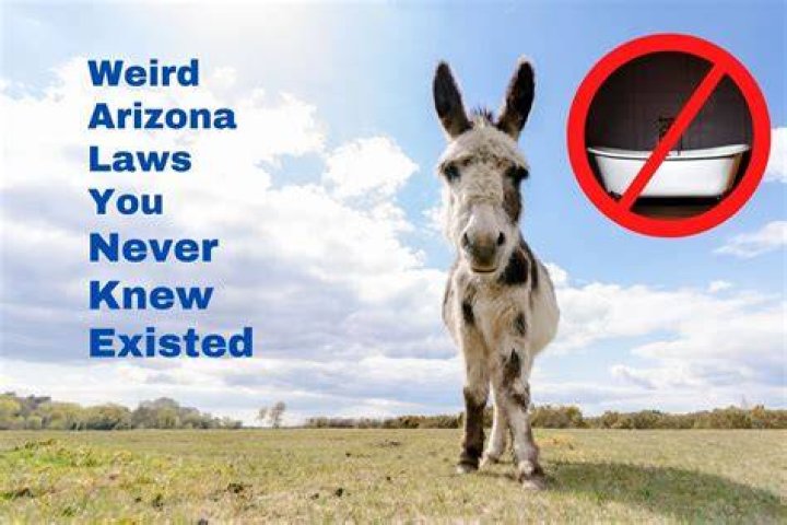 Weird Arizona donkey law