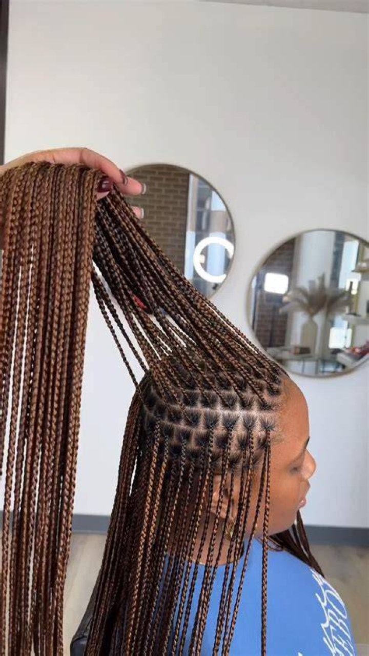 What are Rasta braids? What are Rasta braids?