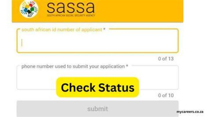 What does SASSA re application mean?