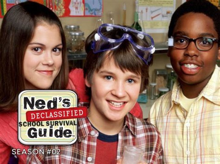 What The Cast Of Ned's Declassified School Survival Guide Looks Like Today