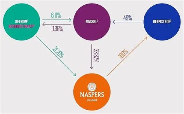 Who owns Naspers? Who owns Naspers?