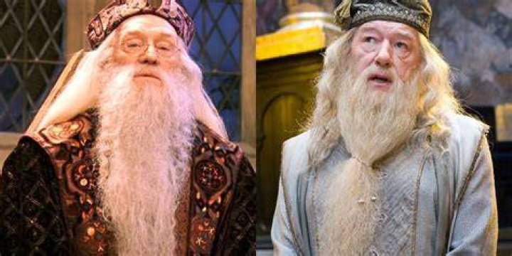 Why Harry Potter Recast Dumbledore After Chamber Of Secrets