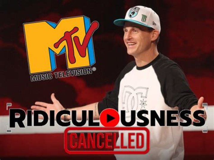 Why The MTV Series Was Cancelled