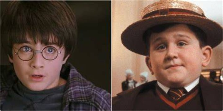young Dudley Dursley in Harry Potter